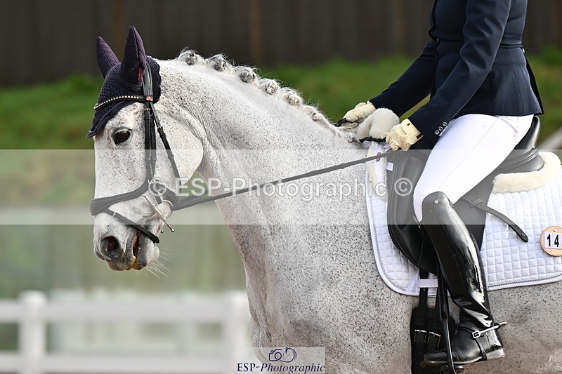 240218A-091722-04706 - 147-Tammie.Wells-Silver.moonshine