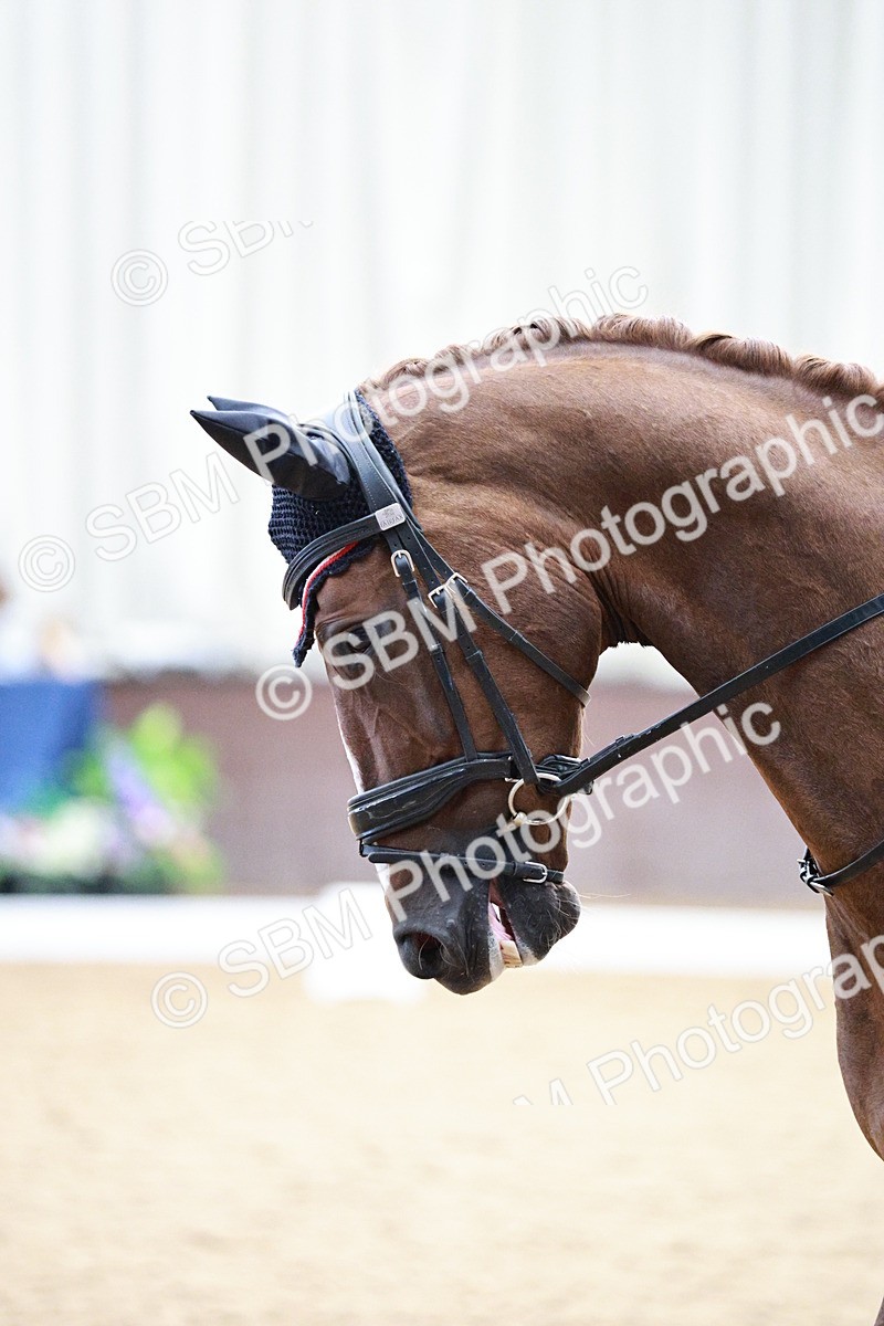 SBM_004682 - Class - 14 - Novice FSM - 11.13-12.01