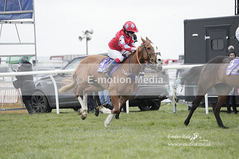 PtP 050323 170 - Blackmore & Sparkford Vale Hunt PtP - Somerset 05/03/23