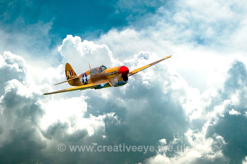 No.0052. P-40 Warhawk - Aviation