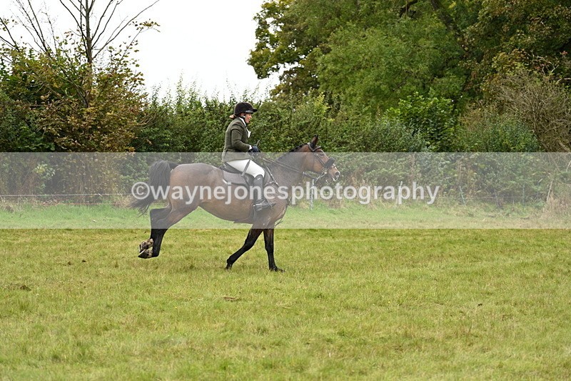 WJ7_4282 - Camera 1 Line 2