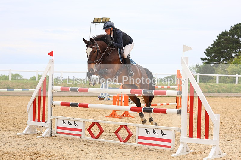 3E7A9597 - Class 9: Senior Foxhunter/1.20 open