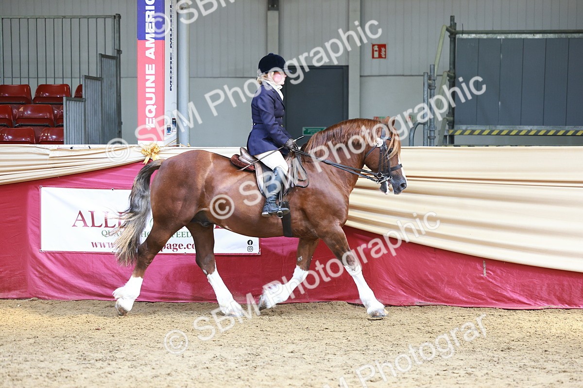 SBM_23288 - class 906 - Supreme Final - Ridden Pre Vet