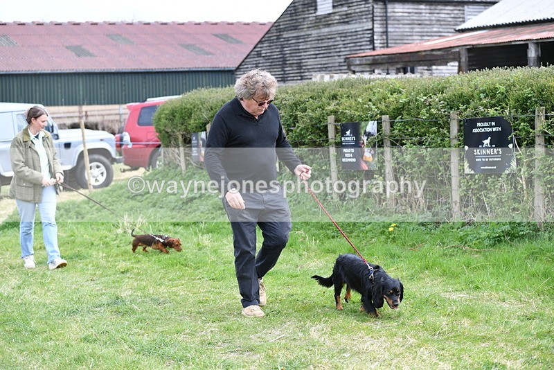 WJ5_9465 - Class 3 Most Handsome Dog