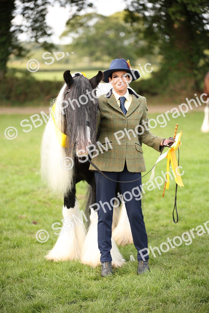 SBM_62313 - S55 - Traditional Cob In Hand