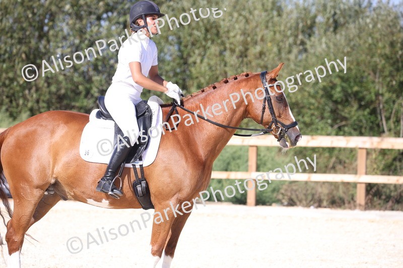 20260905-1554 - Class 5 - Novice 2