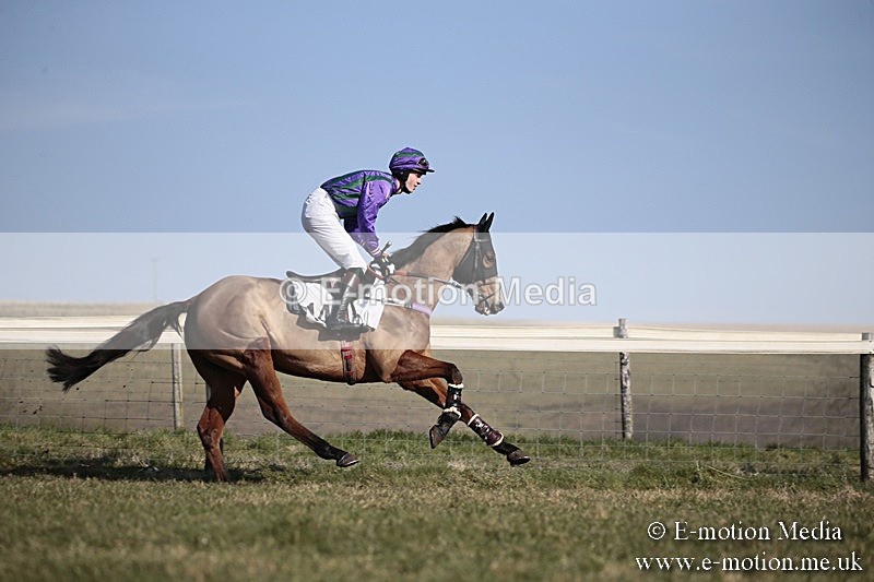 PtP 240218 228 - Vine & Craven Hunt Point-to-Point Barbury racecourse 24/02/18
