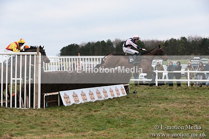 PtP 060119 459 - Larkhill Racing Club - Point-to-Point- 06/01/2019