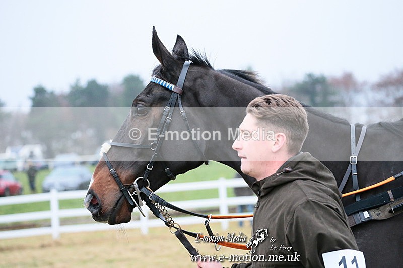PtP 261123 477 - Hursley Hambledon Point-to-Point Larkhill 26 Nov 2023