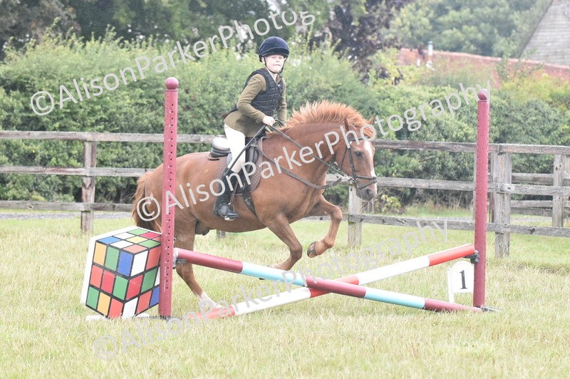 20250831-1853 - Class 9 - Absolute Novice 45cm