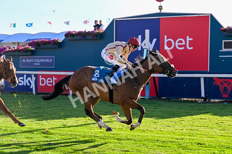 240726-Race 4-Rajaking-5357 - Race 4 19.15pm Tomahawk Handicap