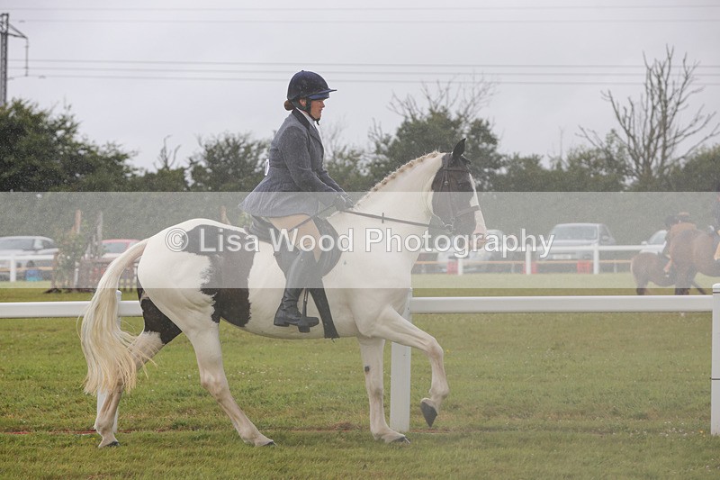 1X9A3005 - Class 26: Ridden Plaited Coloured Pony