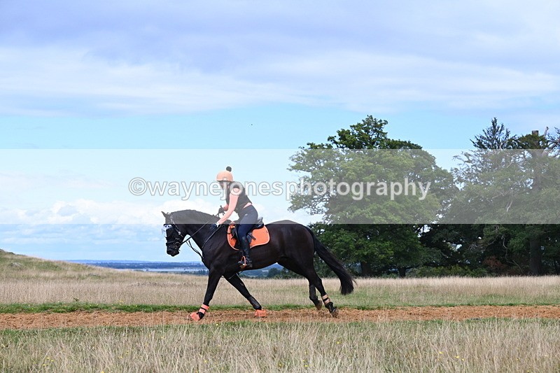 DSC_8842 - Time at Statue 14:33 to 15:10