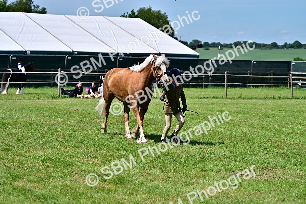 SBM_08080 - Class 61-62 - TSR  M&M Ridden Amateur of the Year