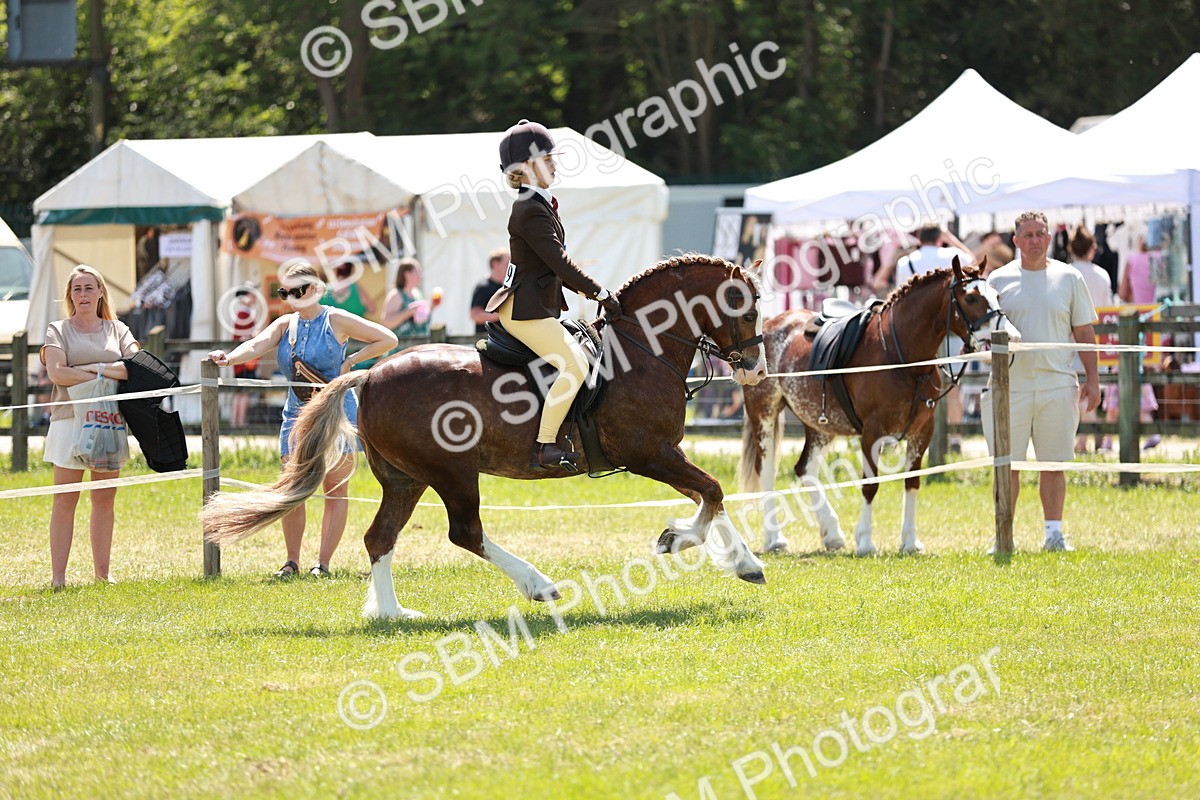 SBM_15783 - Class 108-109 - BSPS LIHS Open Gradle & Nursery Stakes