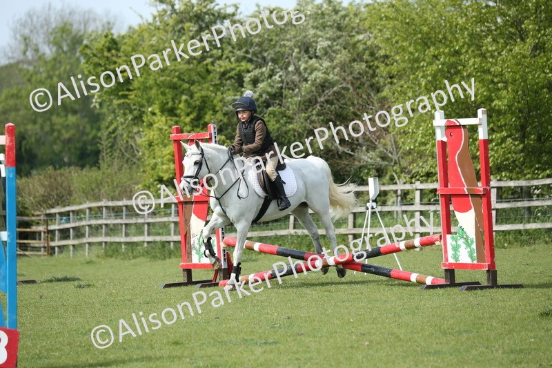 20260426-1531 - Class 14 - Novice 60cm