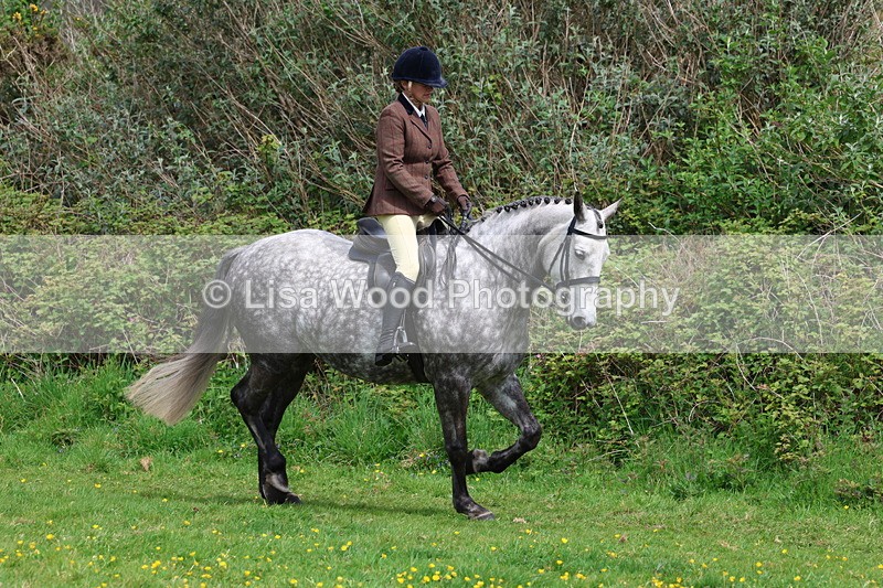 3E7A1676 - Class 9: Riding Club Horse/Pony