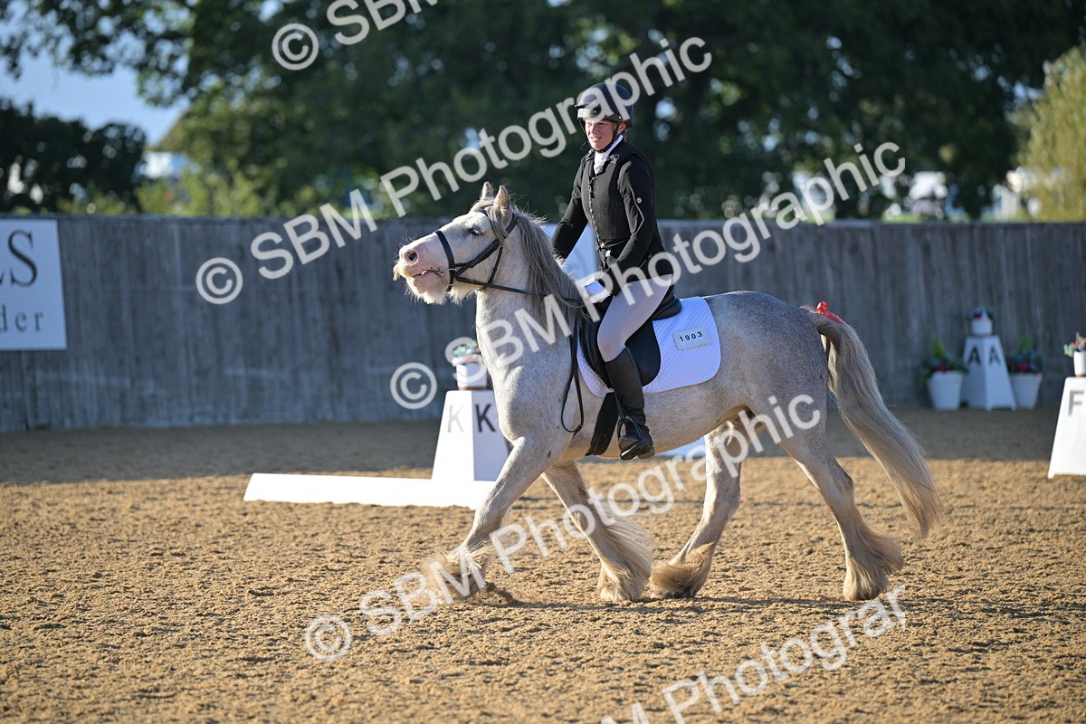SBM_13144 - D3 - Small Tour Championship Intro 3