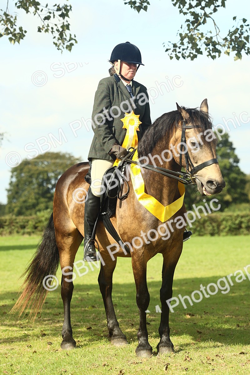 SBM_62703 - S63 - Other Coloured Horse Ridden
