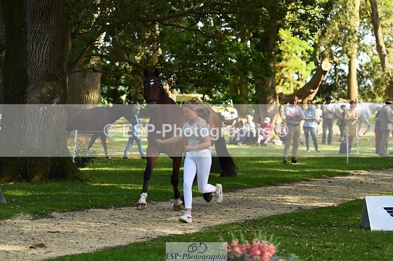 230524-170730-01293 - 154-GELUK_G-Molly_Adams-WEDTrotUp+DR