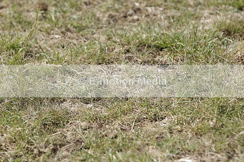 BVHT 140517 I-696 - Class 1 SJ Intermediate 14/05/17