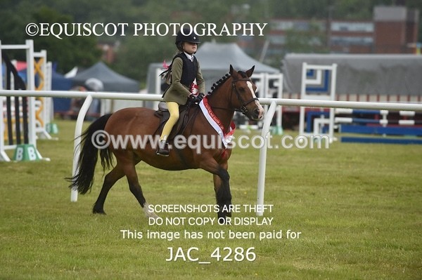 JAC_4286 - WORKING HUNTER CHAMPIONSHIP