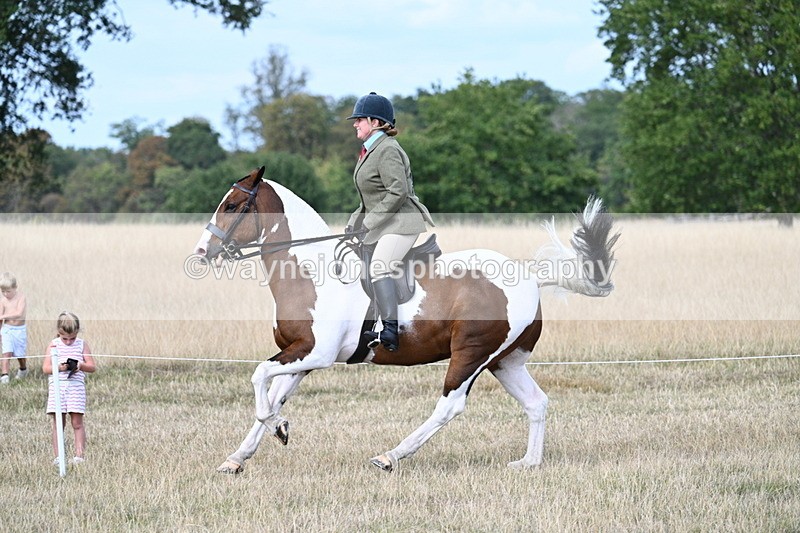 WJ7_7288 - Class 14 Ridden Coloured