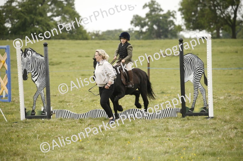 20250517-0307 - Class 1 - 30cm On Lead Rein