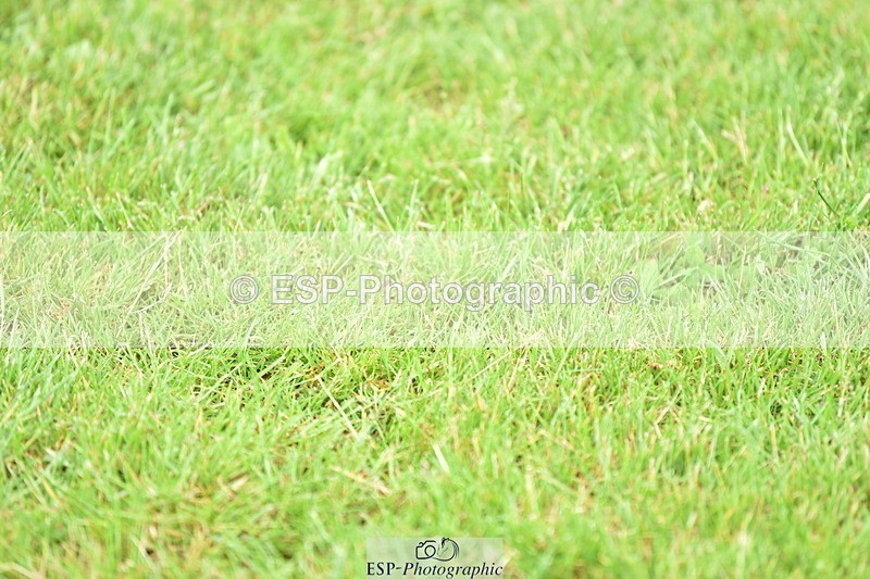 240523B-105414-01819 - 4 Year Old