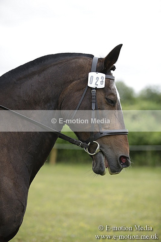 BVR160717-1521 - Ring 1 BVRC Show 16/07/17