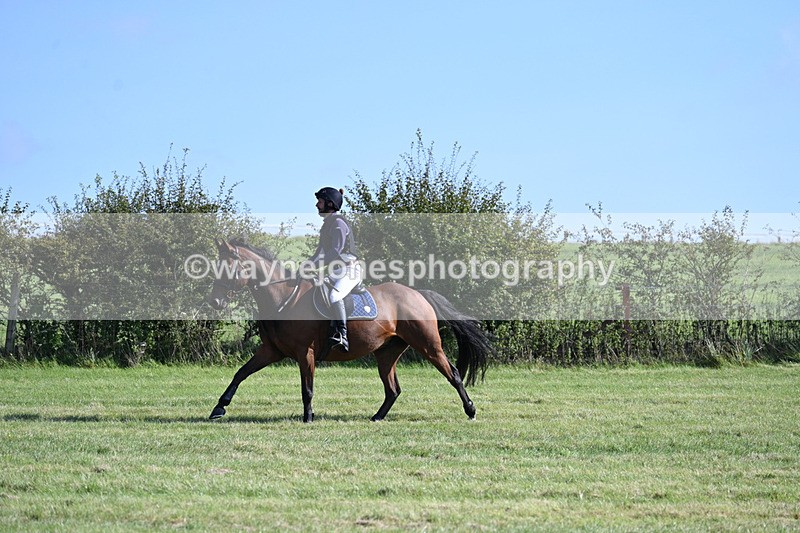 WJ7_5761 - Time 10:38 to 10:51