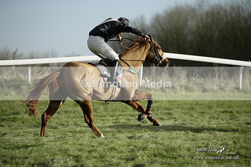 PtP 281121 0162 - Hursley Hambledon Point-to-Point Larkhill 28/11/21
