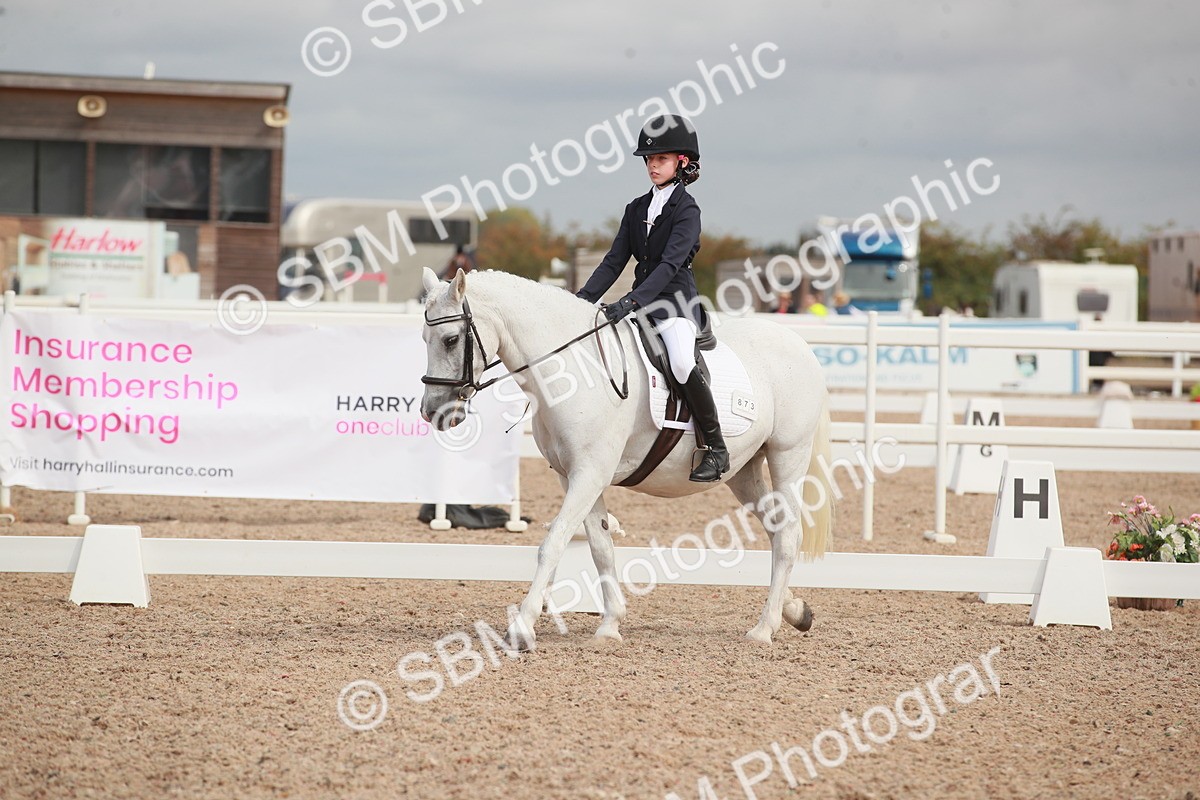 SBM_03974 - Class 31 - Prelim 1