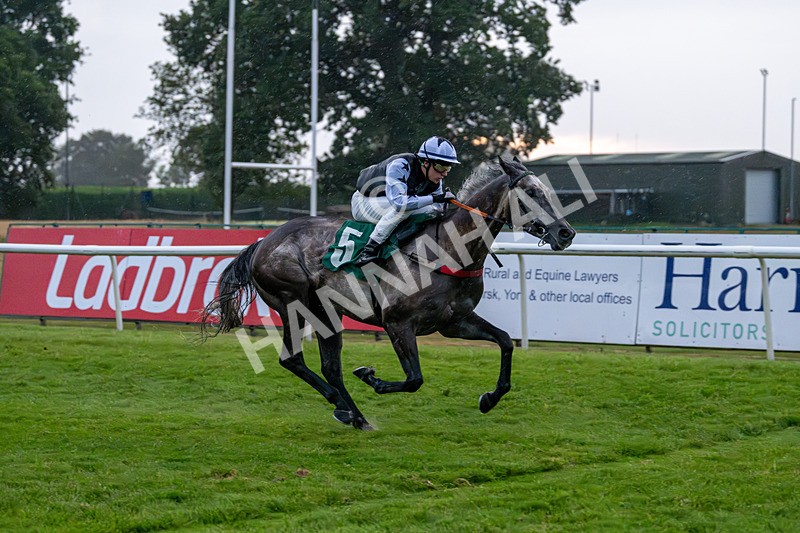 150725-Race 8-Good Karma-7683 - Race 8