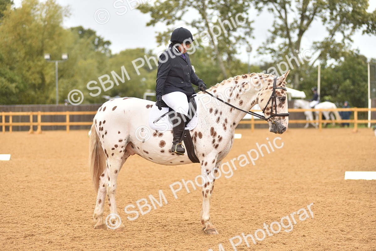 SBM_00401 - D7 - Small Tour Championship Prelim 2