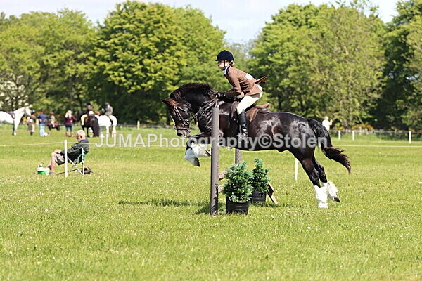 IMG_3697 - Working Hunter