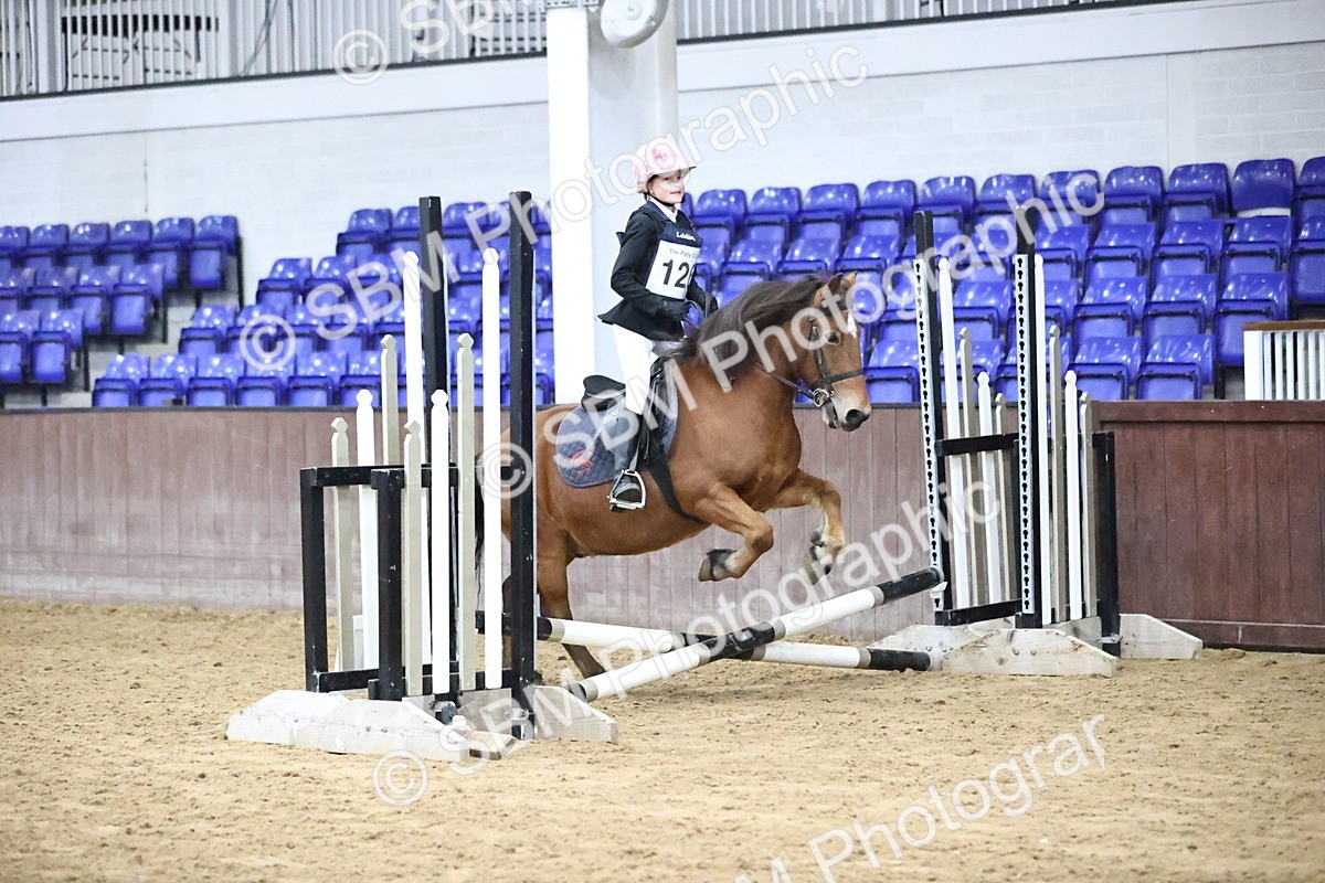 SBM_000258 - Class 2 - The Rug Lady 40cm
