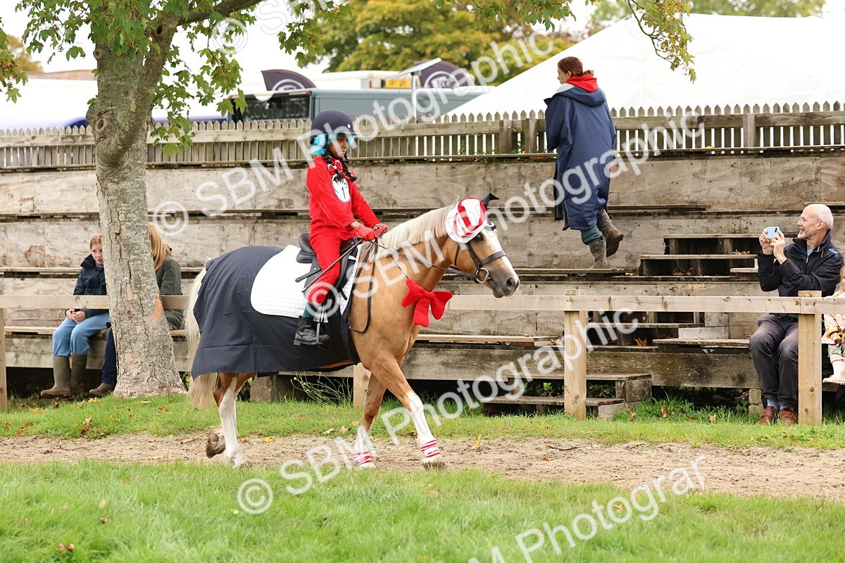 SBM_61612 - S37a - Fancy Dress Showing