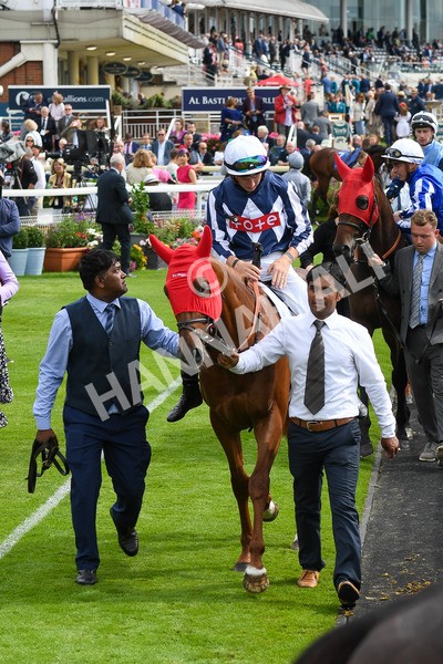 250823-Race 3-Lake Forest-0411 - Race 3 3.00pm Al Basti Equiworld Dubai Gimcrack Stakes