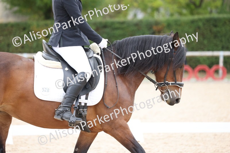 20250820-1219 - Class 18 - Elementary 5