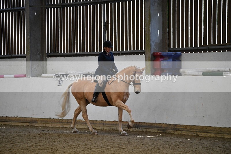 WJ5_5973 - Class 9 Ridden Veteran