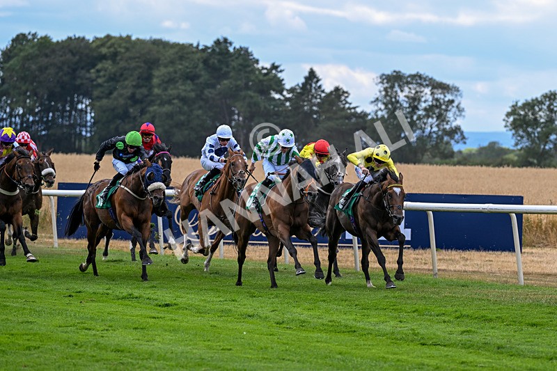010826-Race 5-Asuka-3053 - Race 5 15.47pm William Hill Epic Boosts Handicap