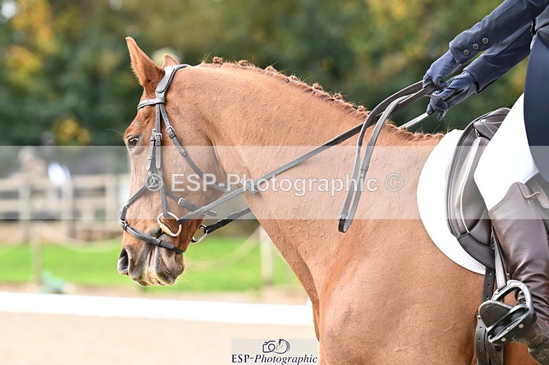 251023A-112239-01713 - B-137-Josie.Reid