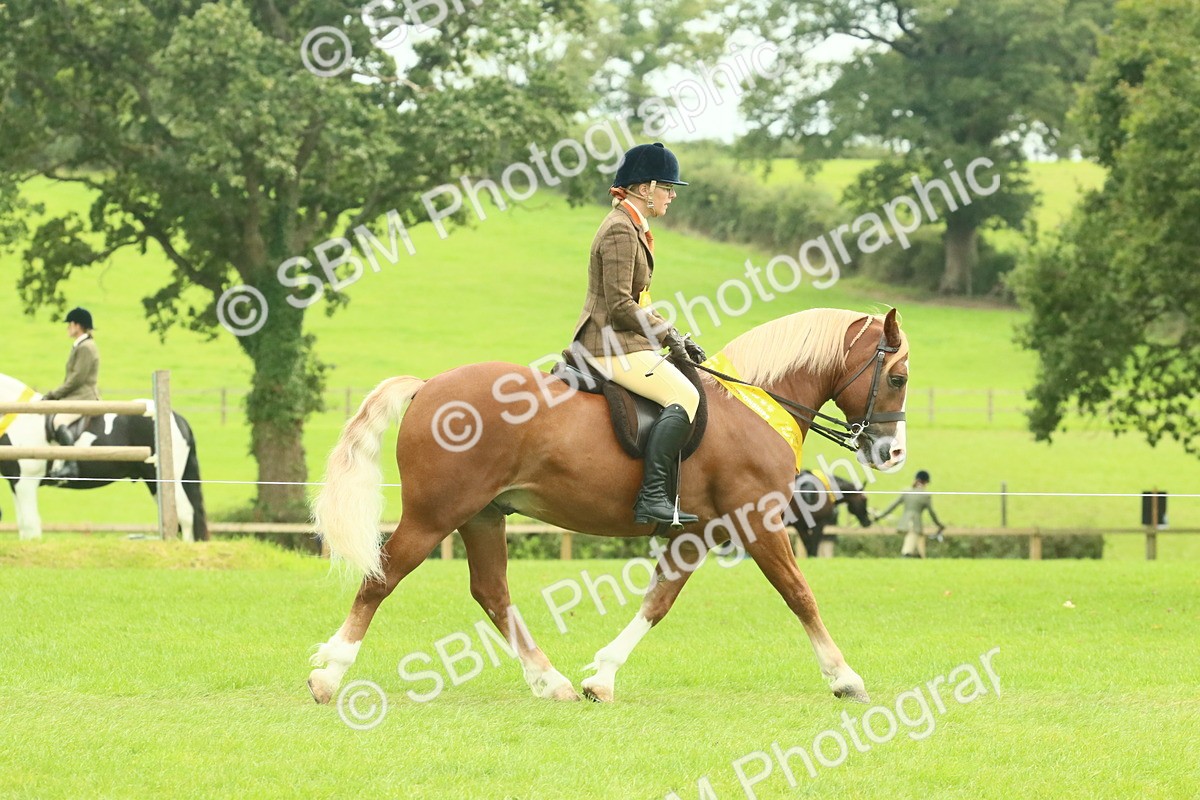 SBM_74972 - Ridden Pony Supreme Championship