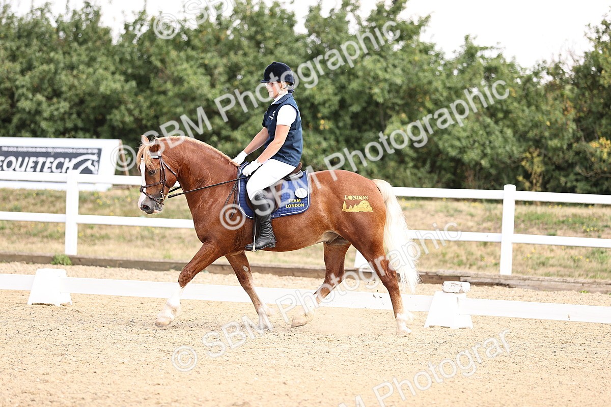 SBM_006576 - Intro 3 - 9.46-10.46