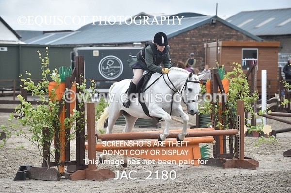 JAC_2180 - CLASS 2 Novice Working Hunter