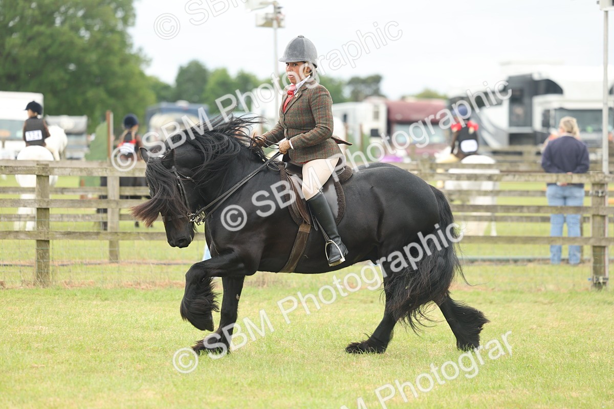 SBM_08975 - Class 78-80 - Ridden M&M Non Welsh Ponies