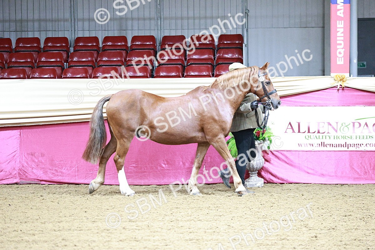 SBM_00144 - Class 1A - Area IH Diamond