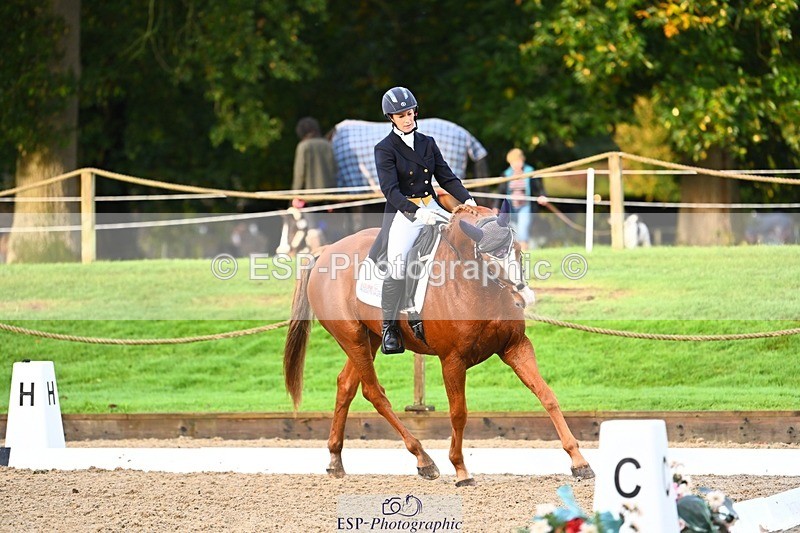 231021-090259-12754 - 322-BALLYBOLGER.LIONMAN-Sarah.Perry-DR