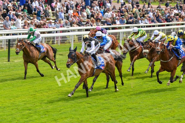 170523-Race 1-Scampi-8573 - Race 1 1.50pm Sky Bet Race To The Ebor Jorvik Handicap